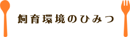 飼育環境のひみつ